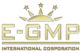 E-GMP